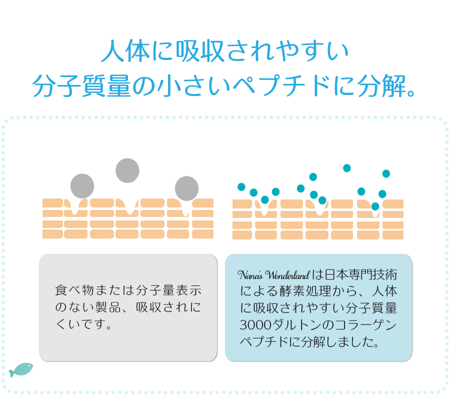 吸収しやすい低分子量コラーゲンペプチド