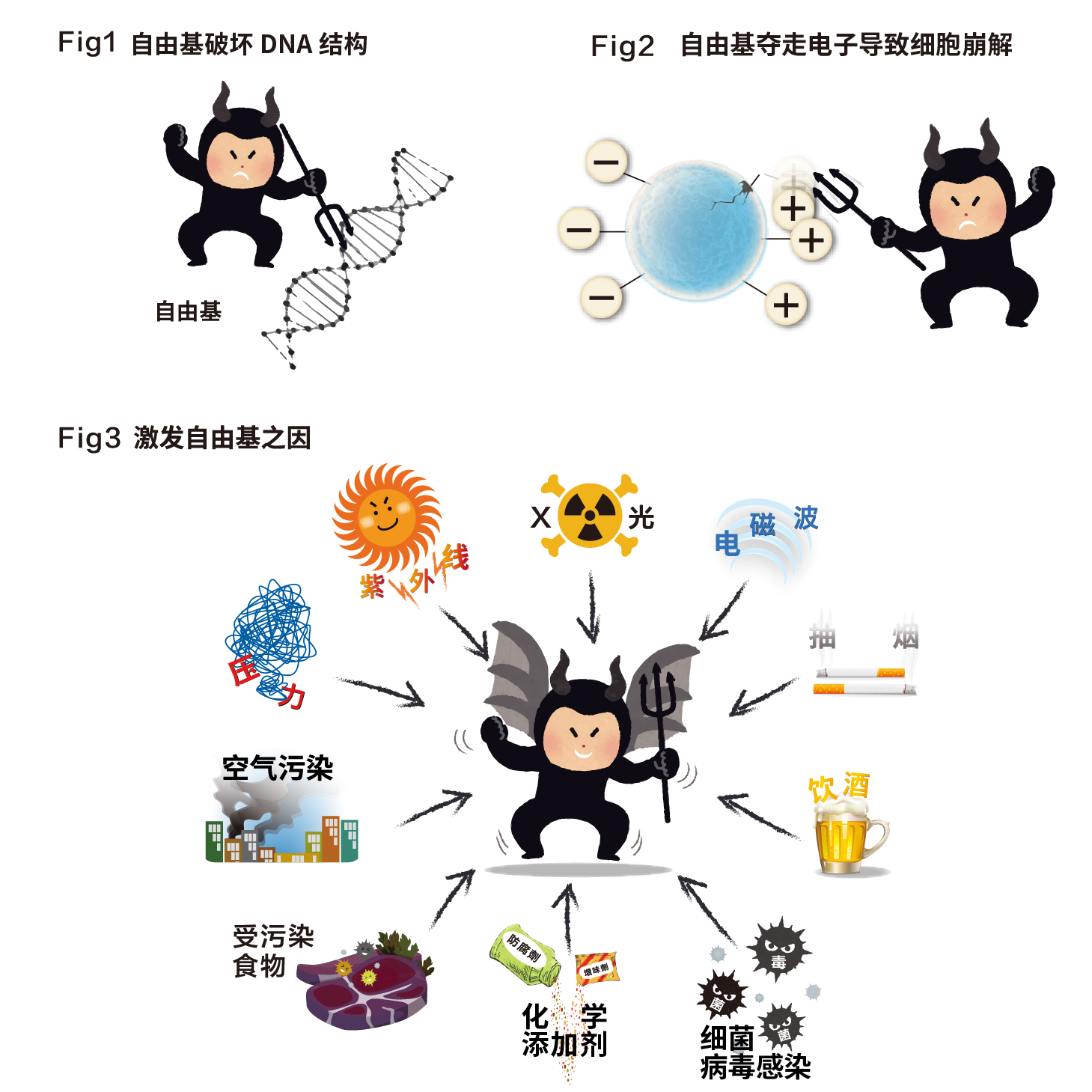 体の部位別コラーゲン含有量