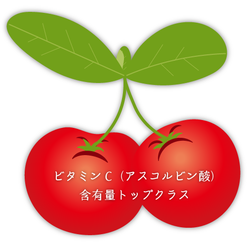 アセロラエキス