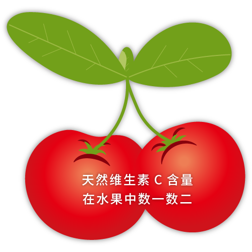 アセロラエキス