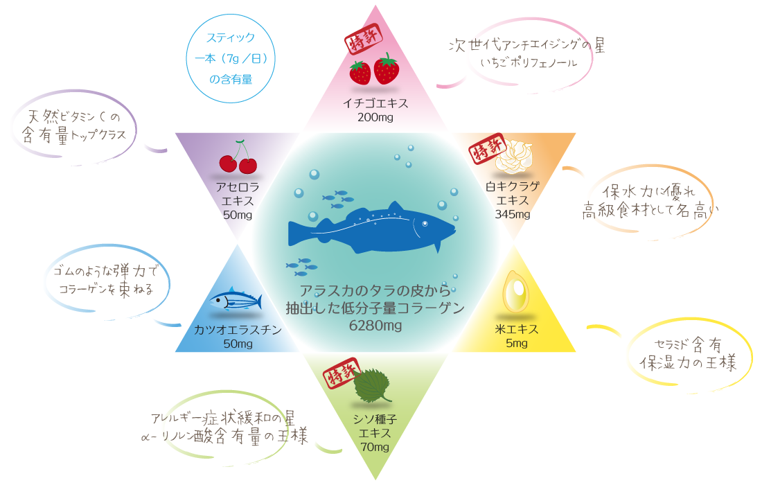 コンセプト