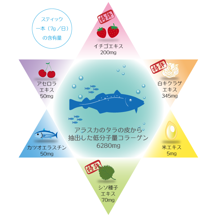 コンセプト