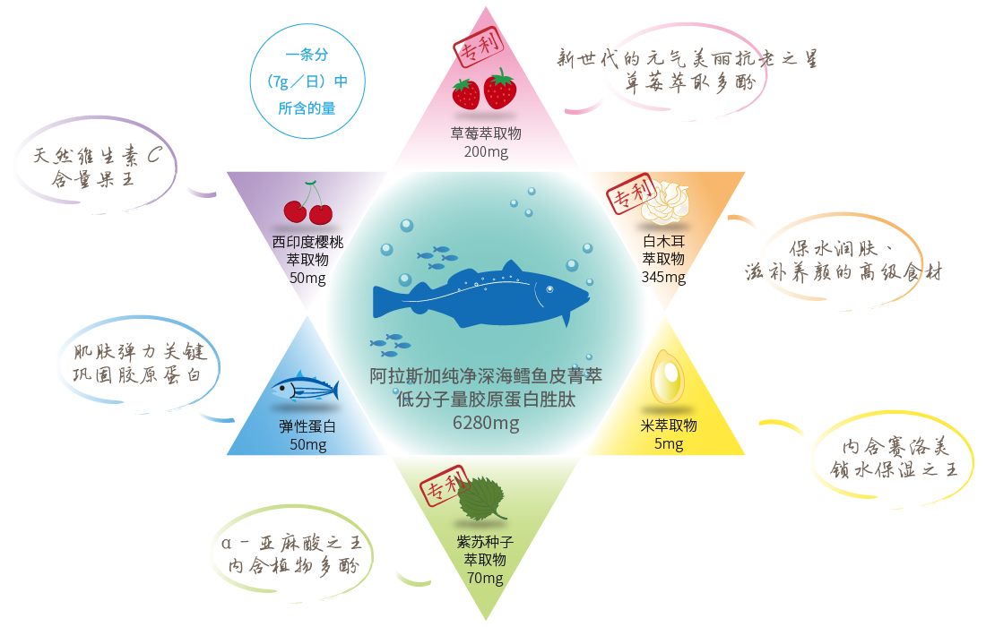 コンセプト