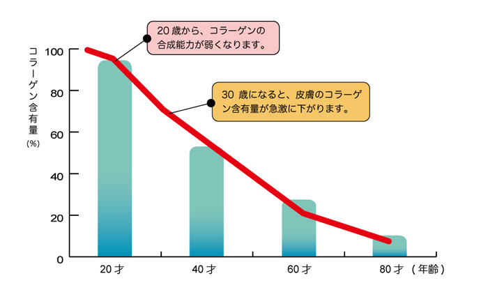 コラーゲン含有量の年齢比較