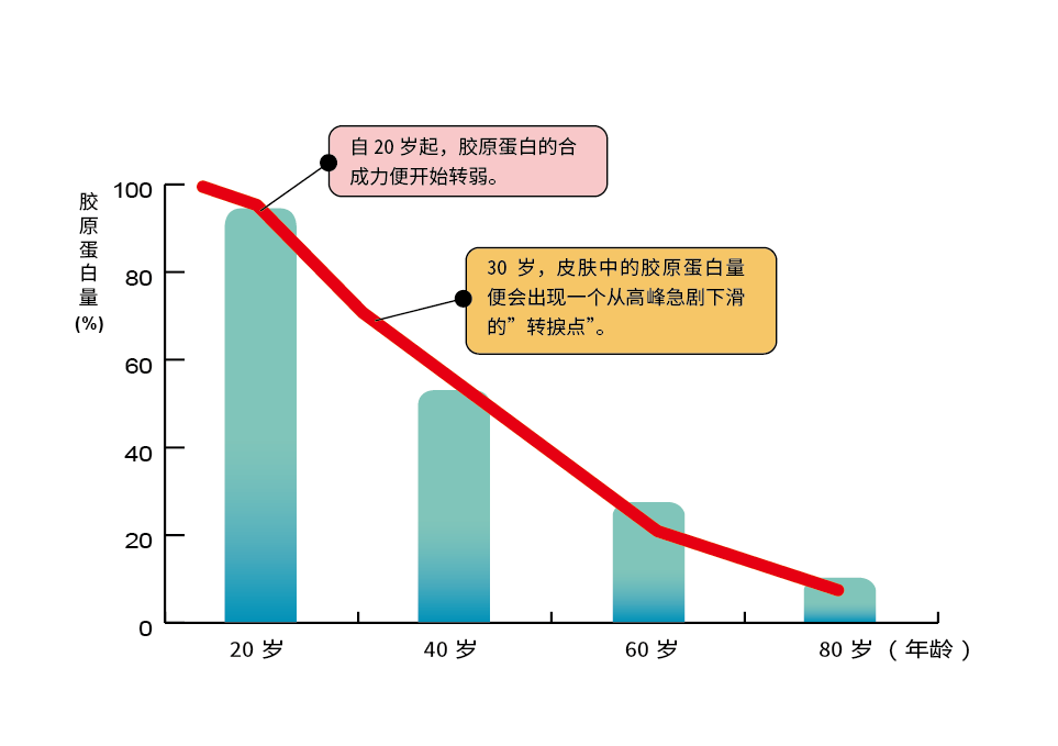 人体内胶原蛋白的变化和年龄的关系