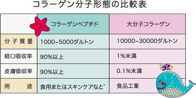 コラーゲン分子形態の比較表