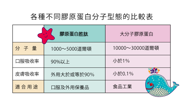 膠原蛋白分子形態比較