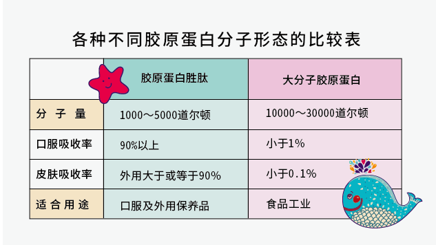 膠原蛋白分子形態比較