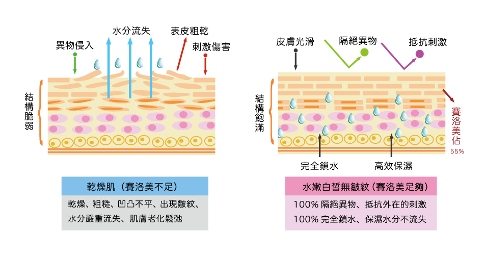 乾燥肌とシワのない潤う皮膚の比較