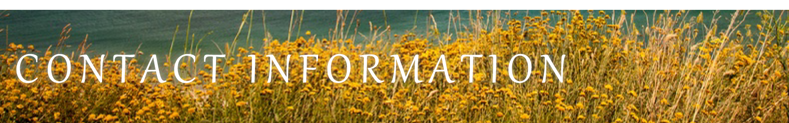 Contact Infomation