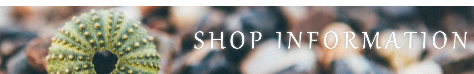 Shop Information
