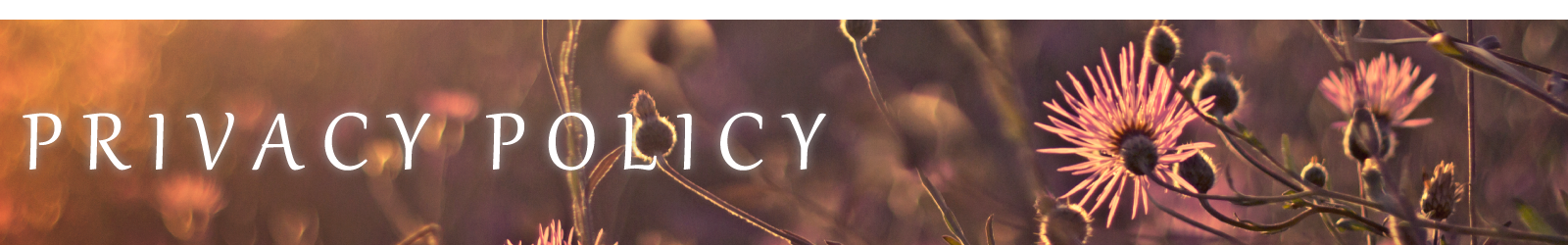 Privacy Policy